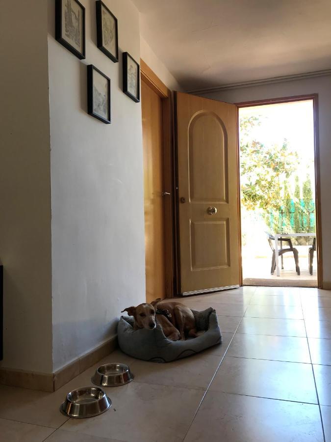 Villa Jazmin Monachil Εξωτερικό φωτογραφία